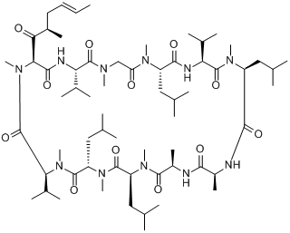 环孢菌素D Cyclosporin D 对照品/标准品/价格