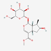 马钱苷 Loganin(CAS:18524-94-2) 对照品/标准品