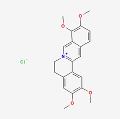 盐酸巴马汀 Palmatine chloride 对照品/标准品/价格