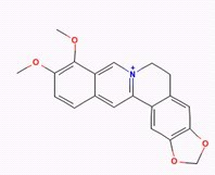 盐酸小檗碱 Berberine Hydrochloride 对照品/标准品/价格
