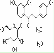 根皮苷 7061-54-3 Phlorizin dihydrate 纯优对照品