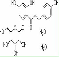 根皮苷 7061-54-3 Phlorizin dihydrate 纯优对照品
