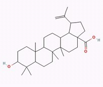 白桦酯酸/桦木酸 Betulinic acid 对照品/标准品/价格