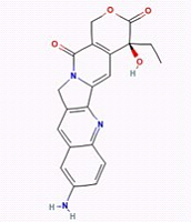 9-氨基喜树碱 9-Aminocamptothecin(CAS:91421-43-1) 对照品/标准品