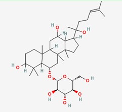 人参皂苷Rh1 Ginsenoside Rh1 对照品/标准品/价格