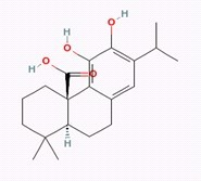 Carnosic acid 3650-09-7 对照品/标准品