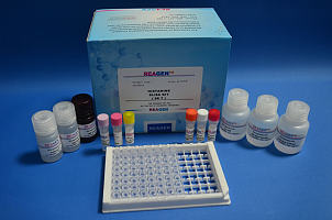 美国REAGENβ-内酰胺酶检测试剂盒