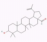 白桦脂醛 Betulinaldehyde 对照品/标准品/价格