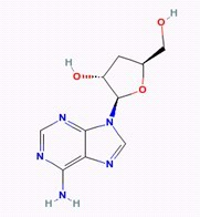 虫草素 Cordycepin(CAS:73-03-0) 对照品/标准品