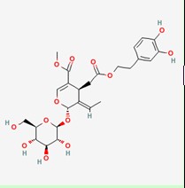 橄榄苦苷对照品标准品 Oleuropein(CAS:32619-42-4)