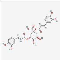 1,5-二咖啡酰奎宁酸对照品标准品 1,5-Dicaffeoyl quinic acid(CAS:30964-13-7)