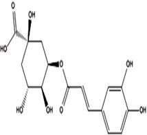 新绿原酸对照品标准品 5-caffeoylquinic Acid(CAS:906-33-2)