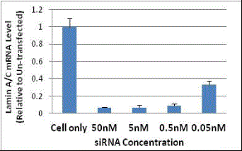 RFect Transfection Reagent