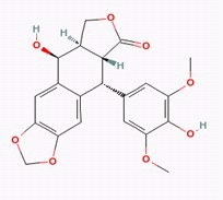 4’-去甲基表鬼臼毒素对照品标准品 4'-Demethylpodophyllotoxin(CAS:6559-91-7)