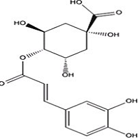 隐绿原酸对照品标准品 4-caffeoylquinic Acid(CAS:905-99-7)