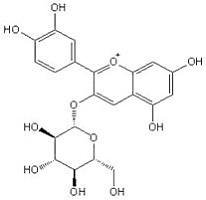 矢车菊素3-O-葡萄糖苷对照品标准品 Cyanidin 3-O-glucoside(CAS:7084-24-4)