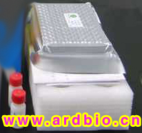 猪蓝耳病毒IgG抗体检测试剂盒(酶联免疫法)