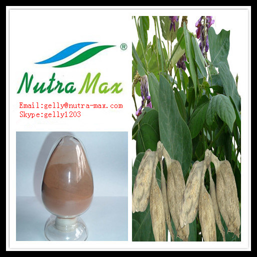 葛根提取物40%异黄酮（gelly@nutra-max.com）长沙绿蔓生物科技有限公司