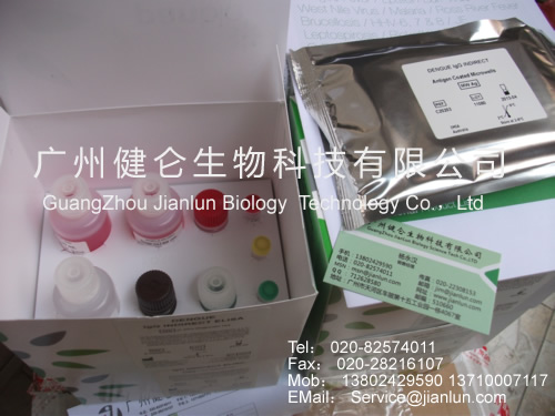 登革热快速检测卡