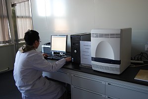 实时荧光定量PCR服务