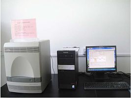 实时定量PCR服务