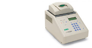 二手梯度PCR仪