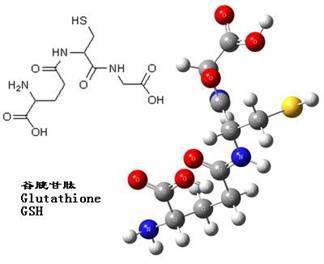 奥曲肽-Octreotide