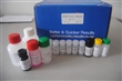 沙丁胺醇elisa检测试剂盒（动物组织、尿液、饲料）