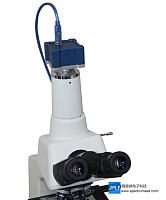 285冷CCD显微镜相机