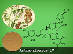 生产厂家现货低价供应低含量黄芪甲苷0.3% 1% 3% 5%