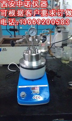微型高压反应釜 催化反应釜 不锈钢微型高压反应釜 实验室微型高压反应釜