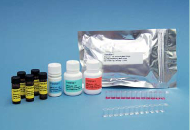 大鼠血管活性肠肽(VIP)酶联免疫试剂盒（ELISA KIT)