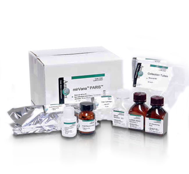 小鼠乙型肝炎表面抗体(HBsAb)ELISA Kit