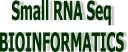 Small RNA（Micro RNA）研究