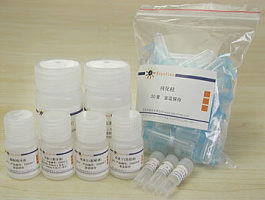 酵母质粒小量抽提试剂盒（50次）
