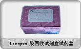 Biospin胶回收试剂盒