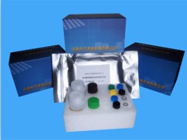 呋喃唑酮代谢物检测试剂盒