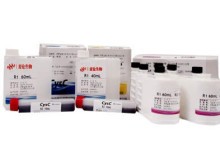 RapidStep™ ECL试剂