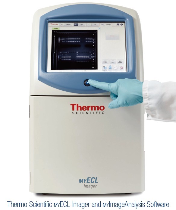 Thermo Scientific MYECL Imager 成像系统