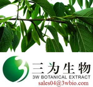 Chlorogenic Acid/ Eucommia Leaf P.E  (sales04@3wbio.com)