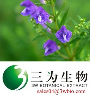 98% Baicalin/ Radix scutellariae P.E.,  (sales04@3wbio.com)
