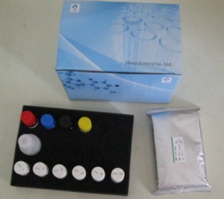 霍乱弧菌核酸检测试剂盒（恒温荧光法)F102S/L