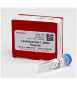 Invitrogen Lipofectamine 2000 reagent  ，Lipo2000细胞转染试剂