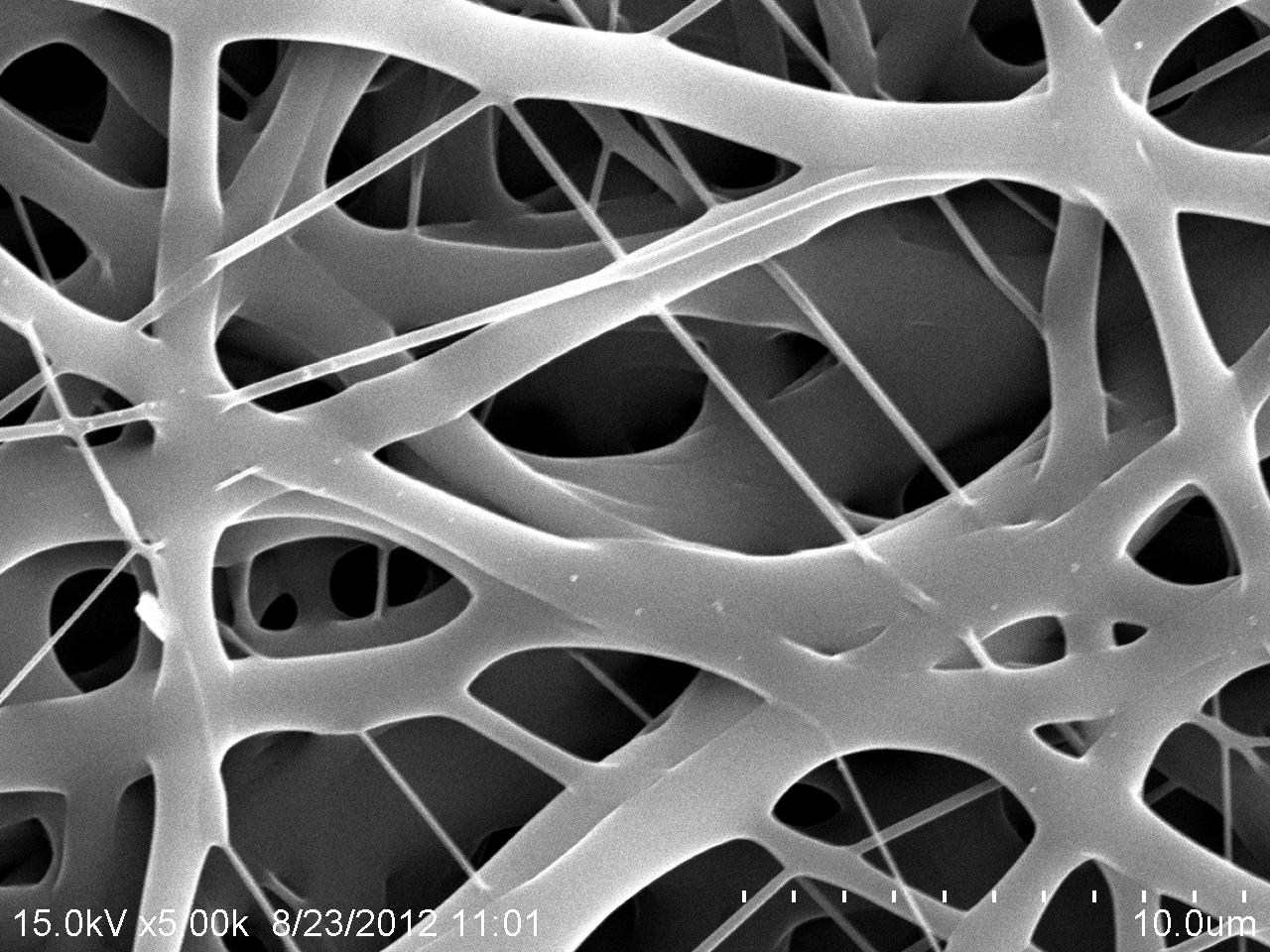 三维细胞培养支架材料PCL产品