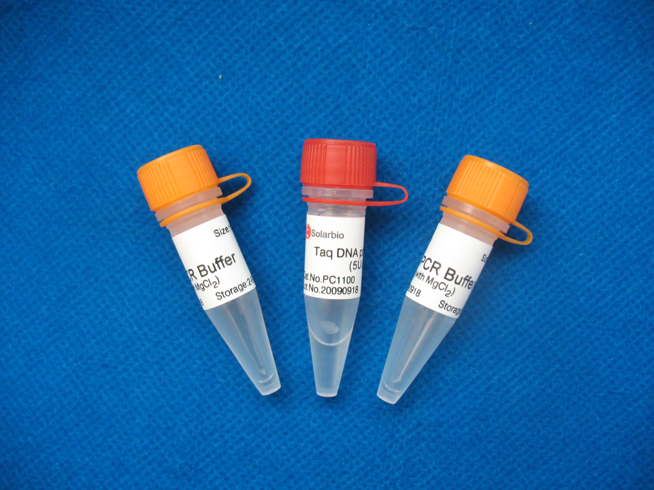 Taq DNA Polymerase（含10x PCR buffer，预混氯化镁）