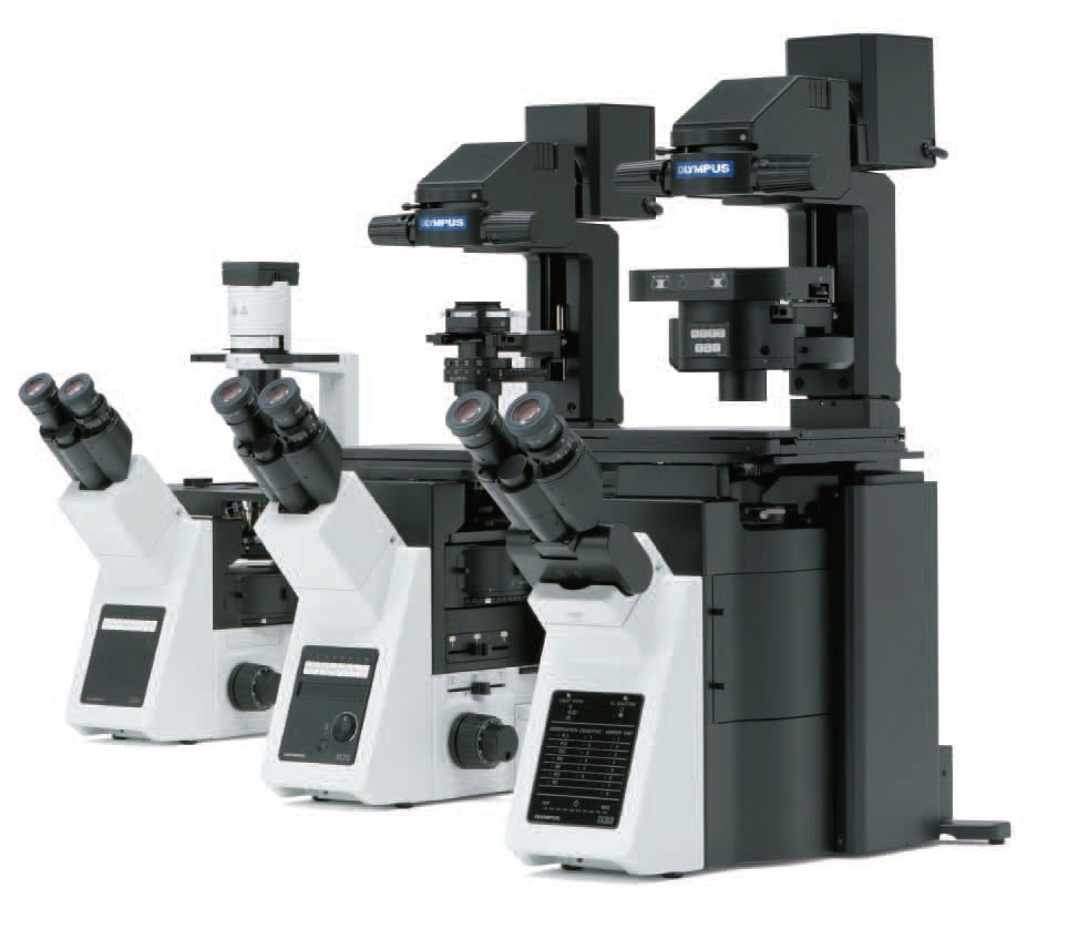 奥林巴斯IX53 IX73 IX83研究级倒置显微镜