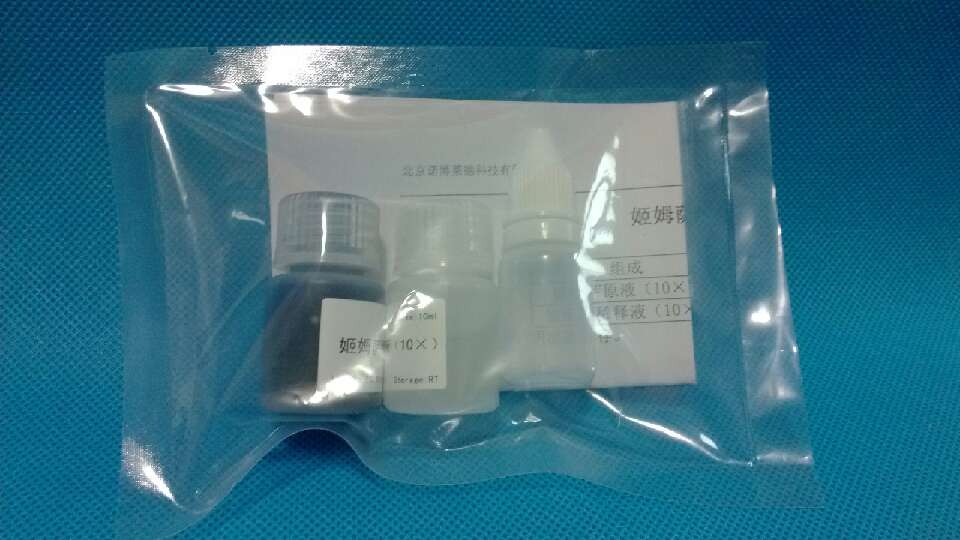 葡聚糖凝胶G-200 Sephadex G-200