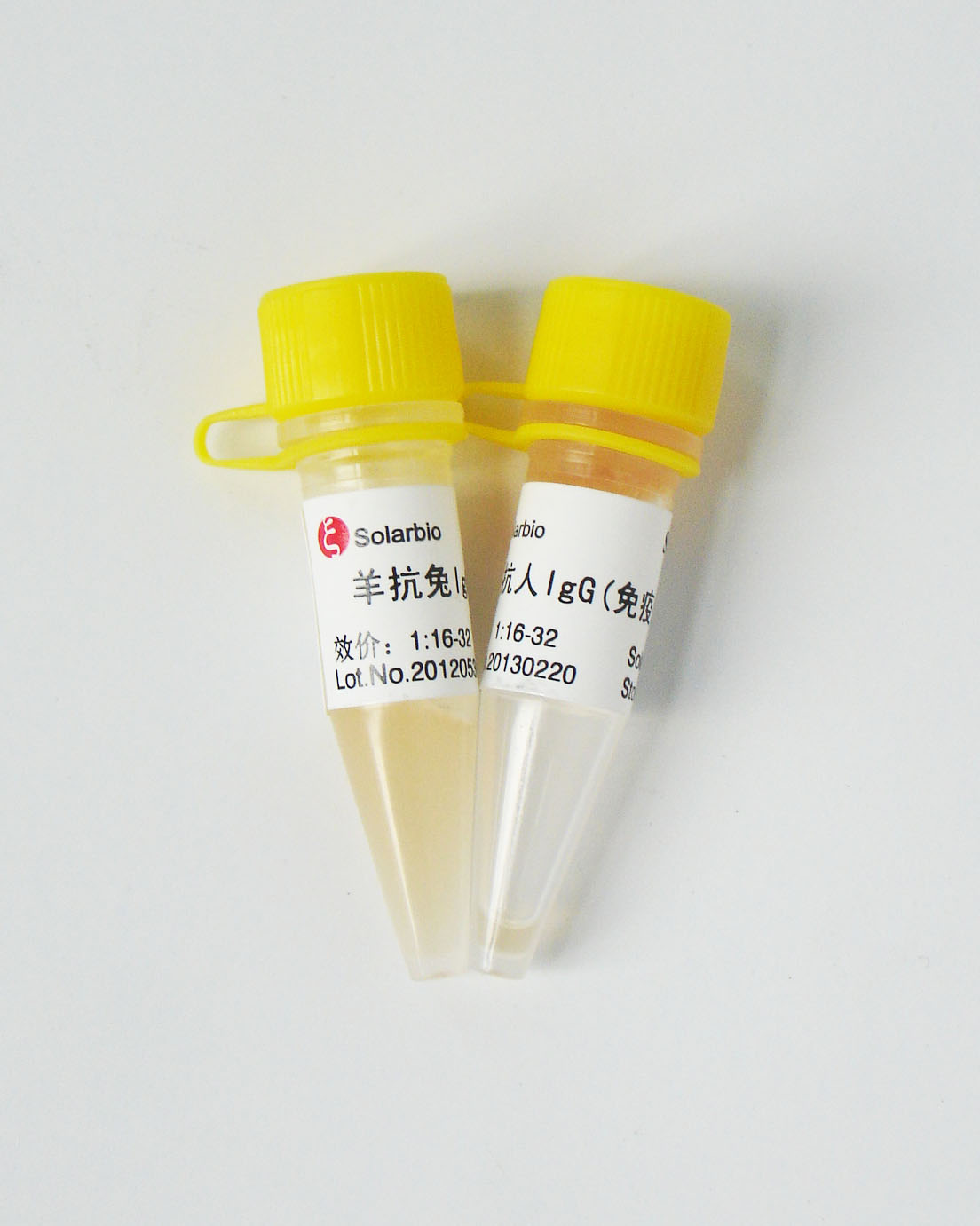 2×Taq PCR MasterMix (含染料）