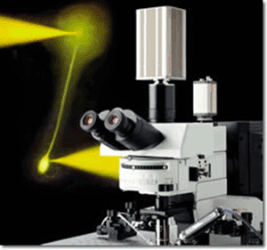 研究级奥林巴斯BX51/BX61正置显微镜参数及报价