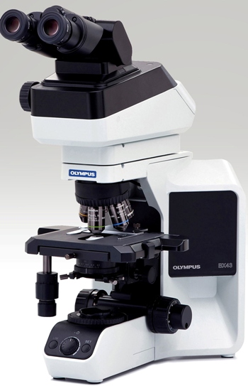 奥林巴斯BX43生物显微镜，北京BX43显微镜，BX43生物显微镜